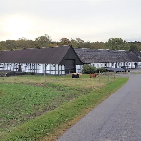 Lehnsgaard * גודהיים