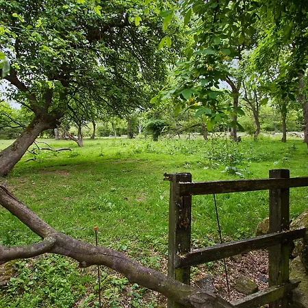 Lehnsgaard בית חווה *