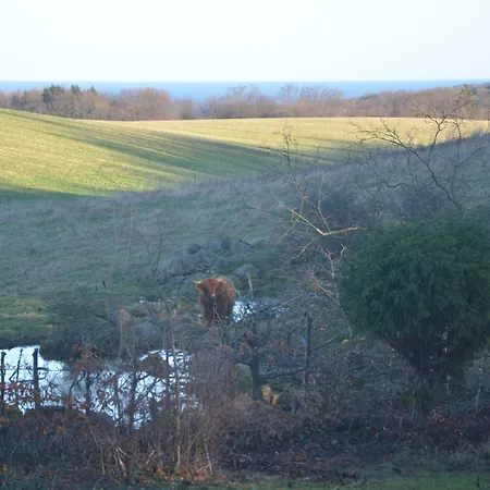 Lehnsgaard * غودهيم