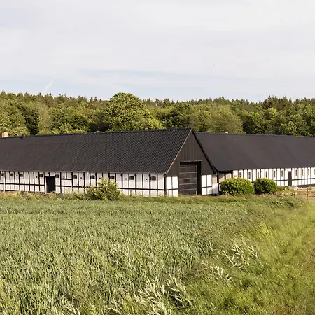 Lehnsgaard *