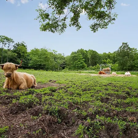 Lehnsgaard Farm stay