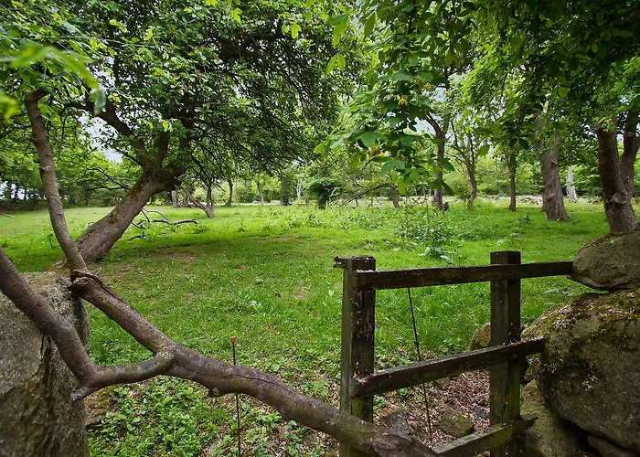 Lehnsgaard Alloggio per agriturismo *